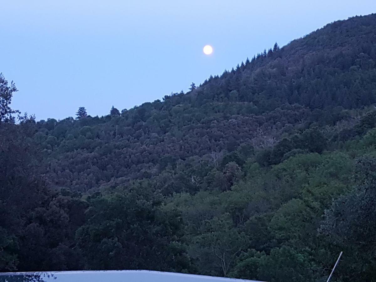 El Solei Paraiso En El Montseny Arbúcies 외부 사진