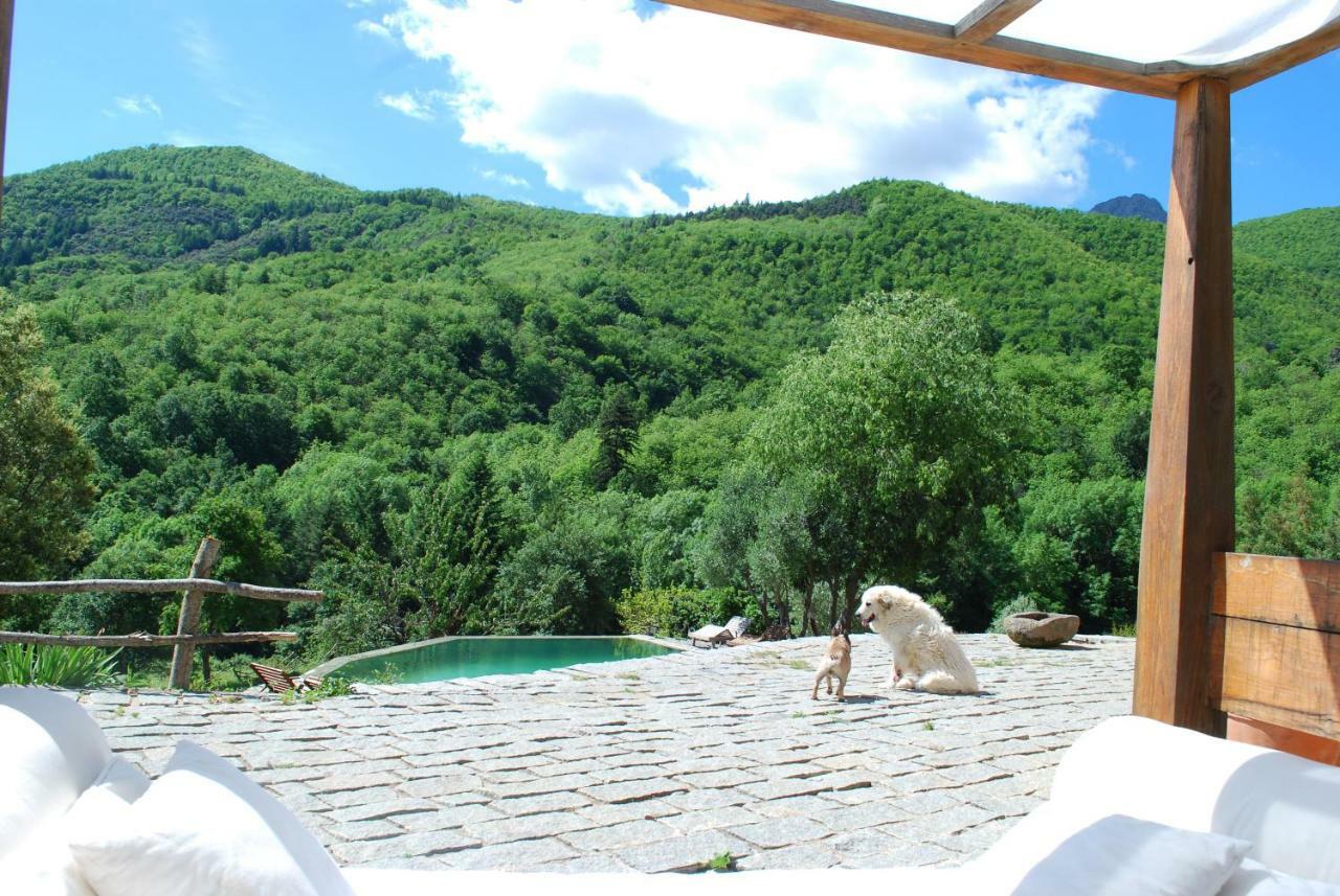 El Solei Paraiso En El Montseny Arbúcies 외부 사진
