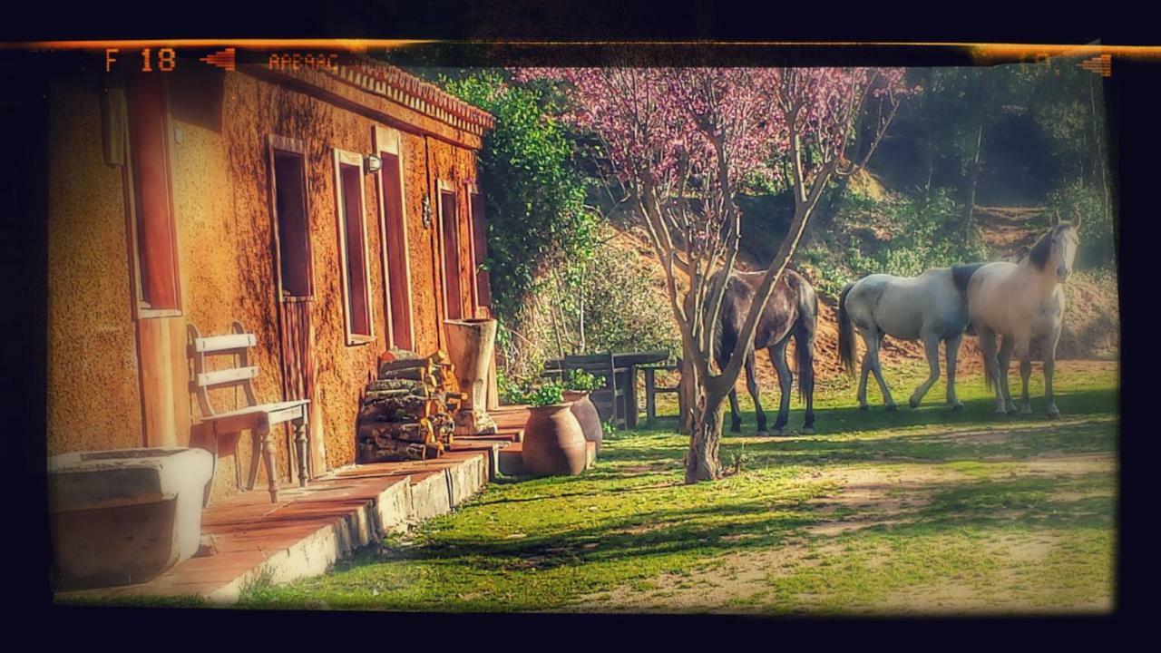 El Solei Paraiso En El Montseny Arbúcies 외부 사진
