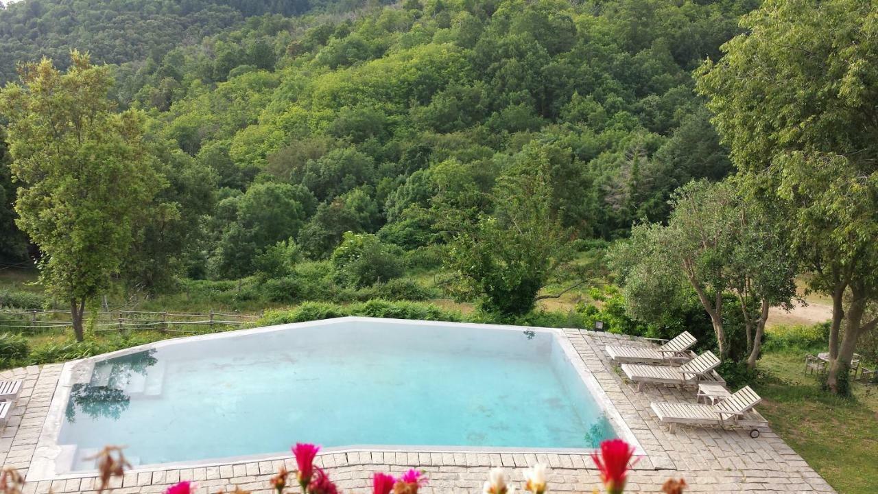 El Solei Paraiso En El Montseny Arbúcies 외부 사진
